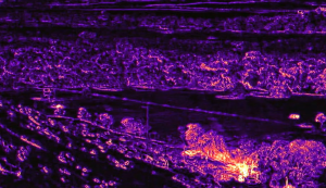 Scientists investigate the hidden Mesa anomaly at Skinwalker Ranch