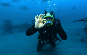 Gold coins recovered from the SS Pulaski wreck