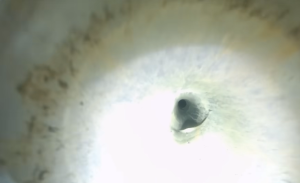 Snake camera reveals rail tracks inside the Expedition Unknown Nazi tunnel.
