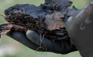 Burned Enigma documents uncovered inside a forgotten World War II command center.