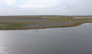 Josh Gates searches the remote Newfoundland shoreline for the White Bird.
