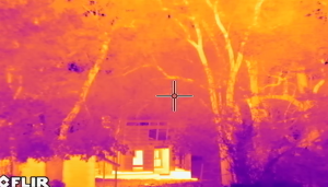 Thermal cameras detect heat in the trees.